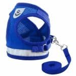 TravelCat™ - Kattentuig en Riem Set-Koopje.com